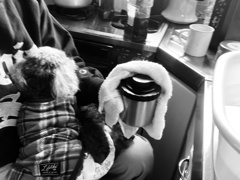 マリ抱きながら