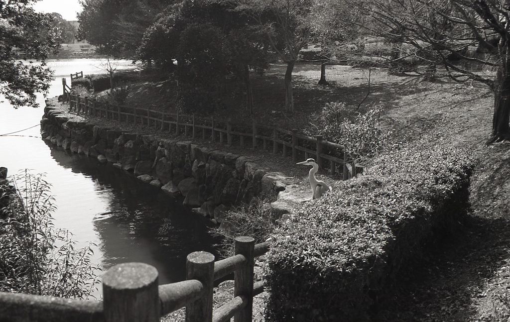 池の入り江風景