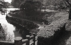 池の入り江風景