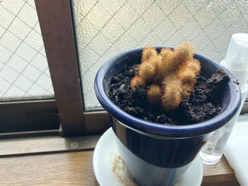 どなたかお教えください。