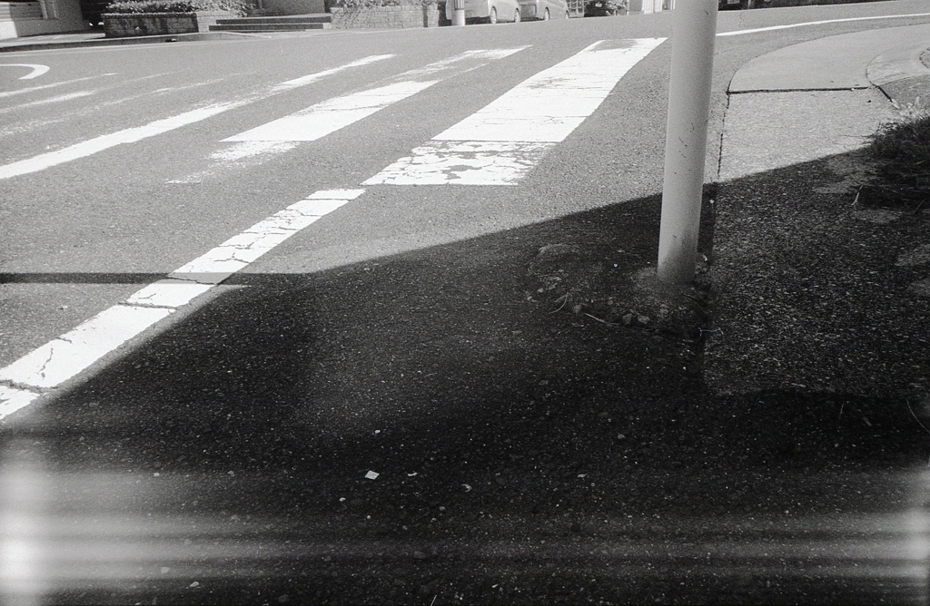Rollei Retro80SからFomapan400へ