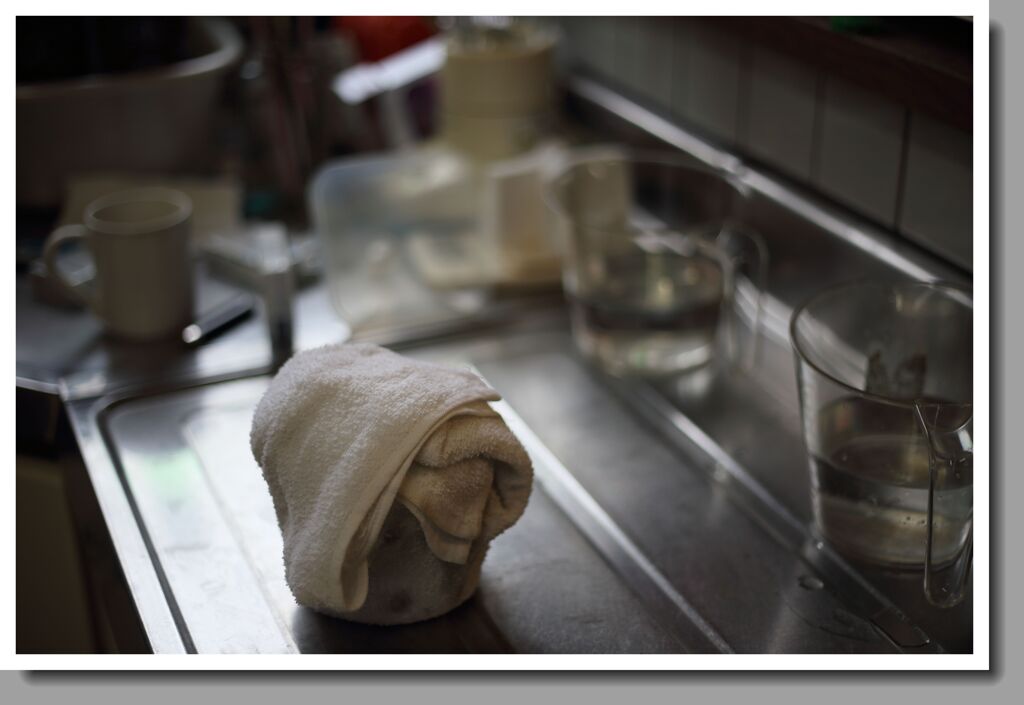 まずはモノクロ現像でも…