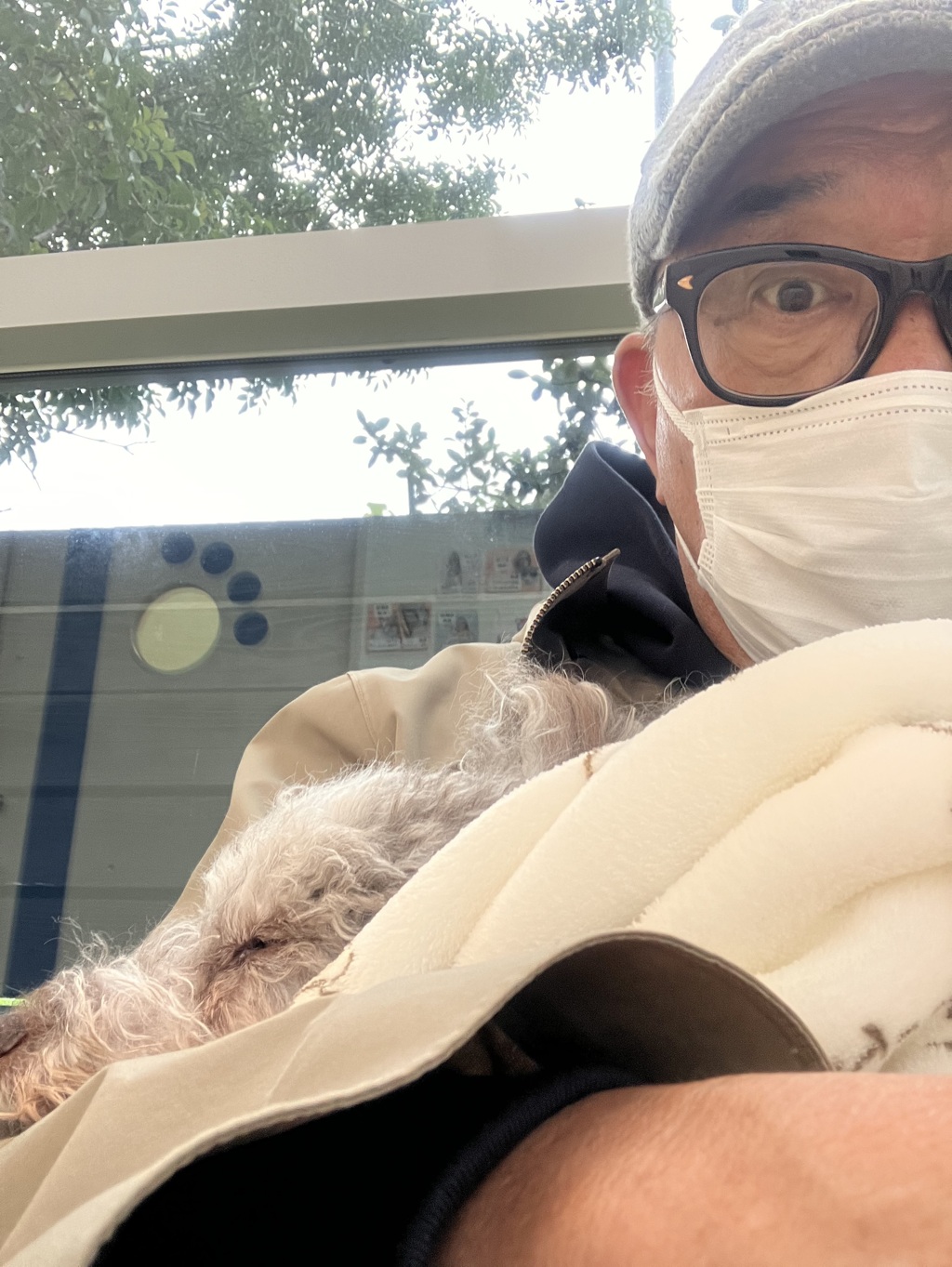 待合のマリとジジ