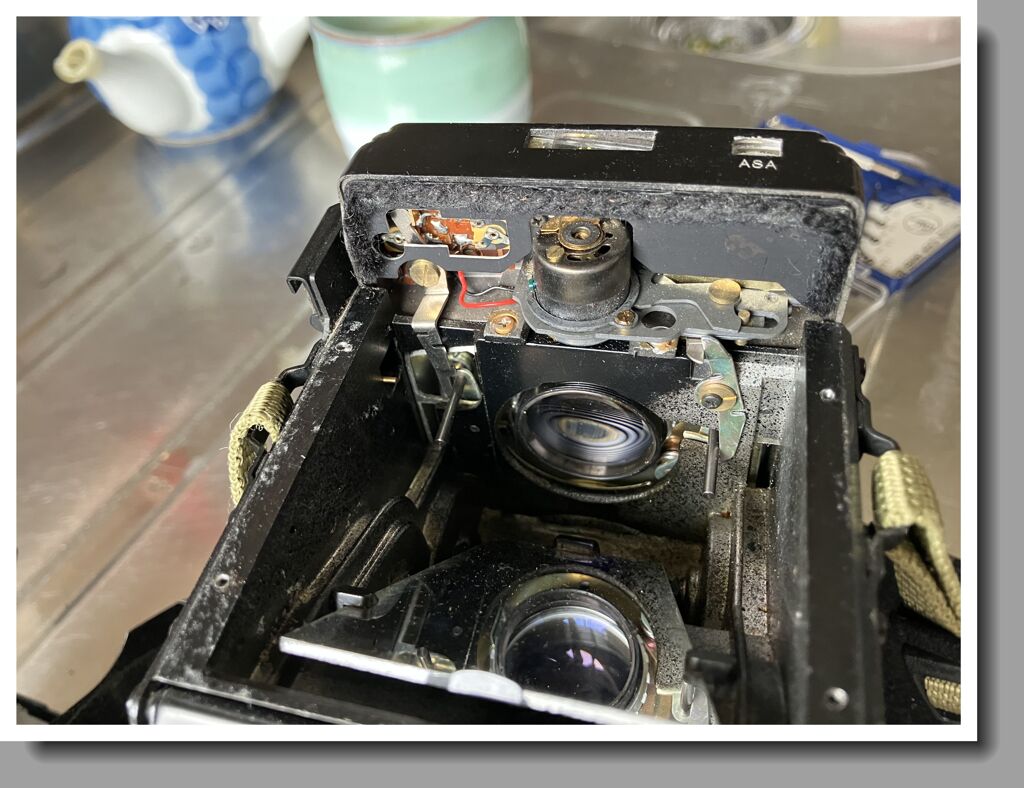 オーマイガー！