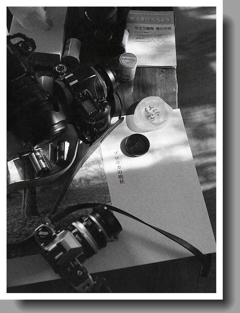 ブロニカの晩秋