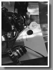 ブロニカの晩秋