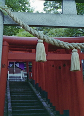 伴華楼横の神社
