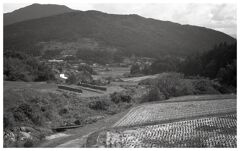 はざかけのある棚田の秋風景