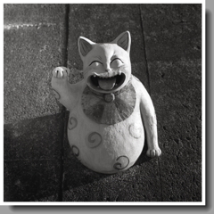 Bronicaの猫 Bronicaの猫