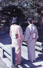 橋にたたずむ帯姿