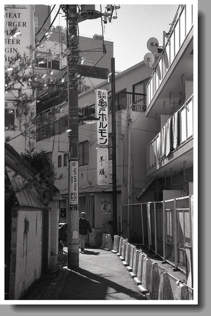 路地の亀戸ホルモン