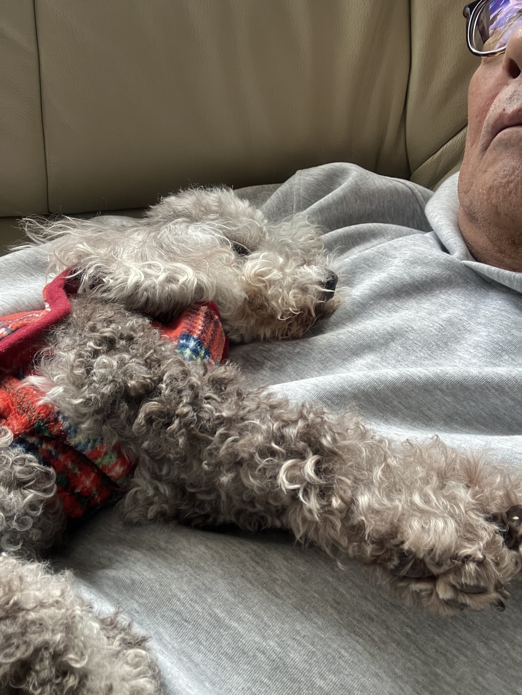 肉布団の上でスヤスヤと…