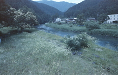 根尾川風景