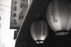 灯る提灯