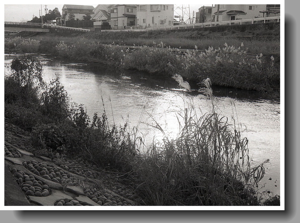 内津川PENウォーク！