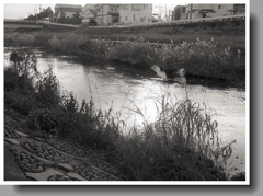 内津川PENウォーク！