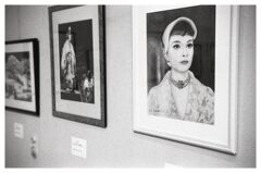 オードリーヘップバーン　～Foma400/Rodinal静止現像