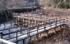 蓮池桟橋の風景