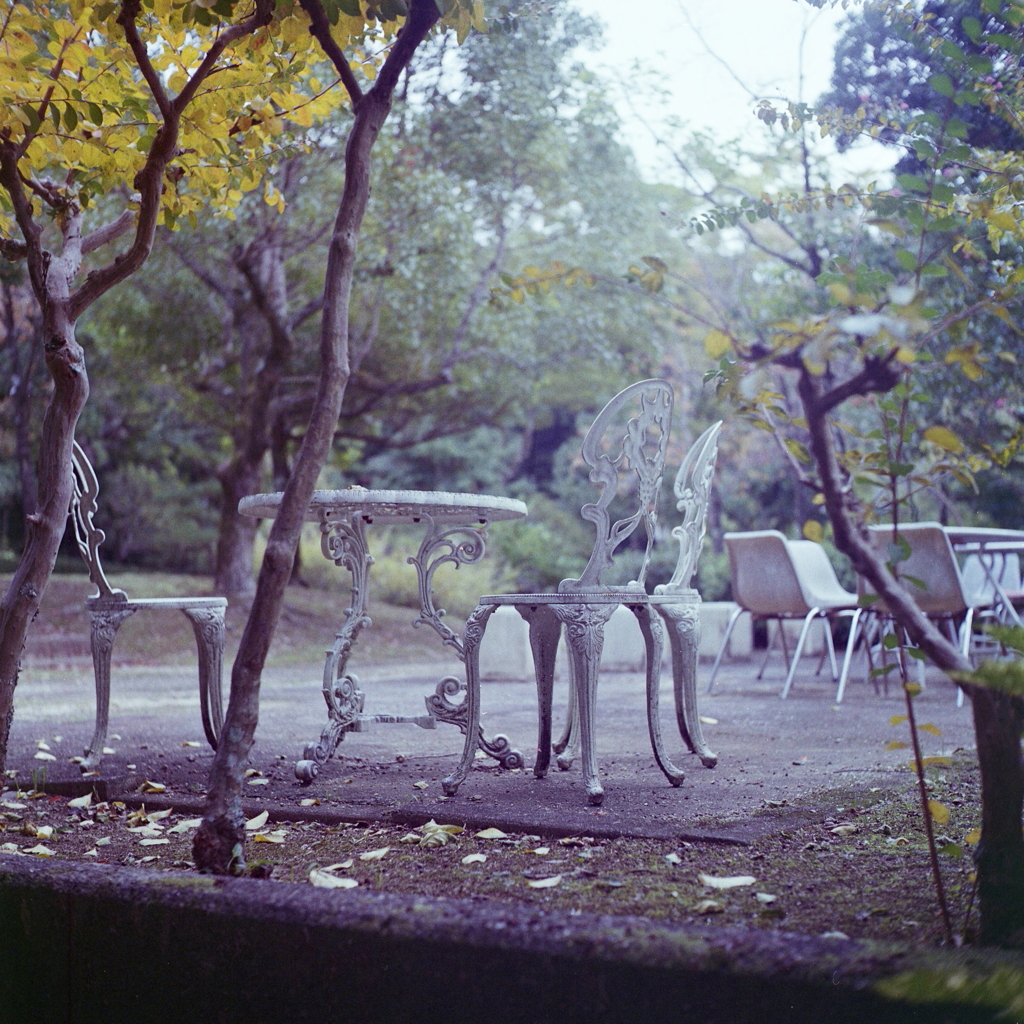 白いテーブルチェア　～カラーネガフィルム