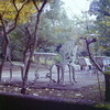 白いテーブルチェア　～カラーネガフィルム