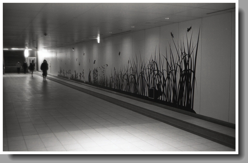 アベニューの通路