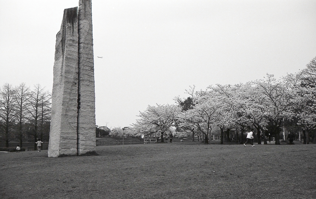 巨大日時計と桜