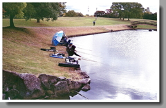 初冬の釣りびと