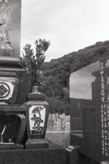 お盆