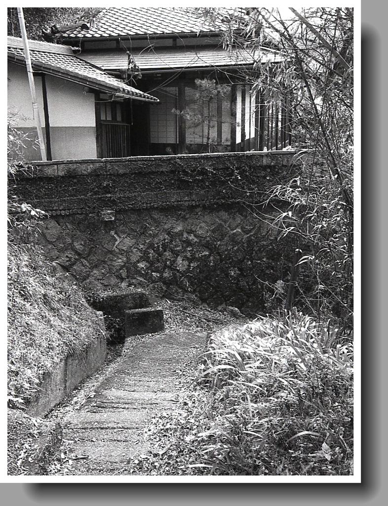 苔生す石垣の小径