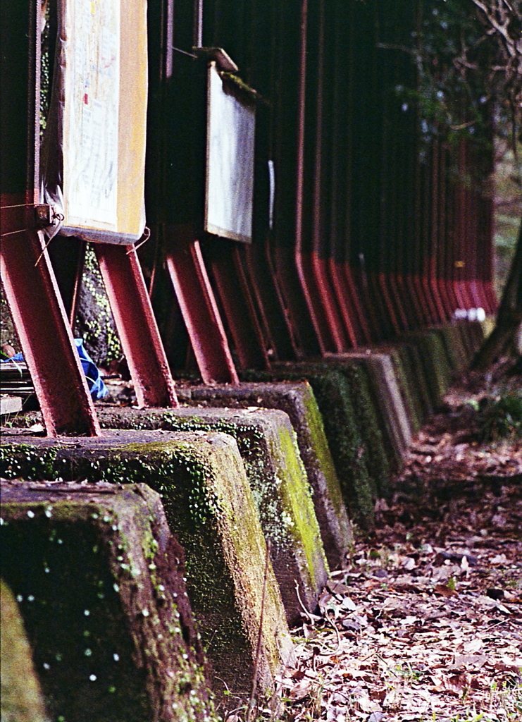 苔生すコンクリート基礎 ～定光寺トンネル