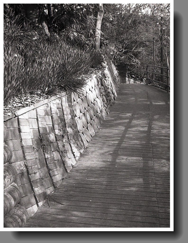 ゆるやかな小径の坂