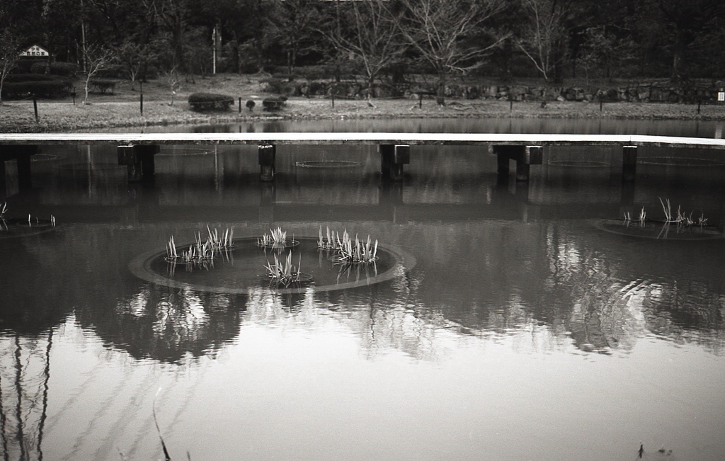 モノクロームな湖面