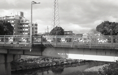 桜の橋