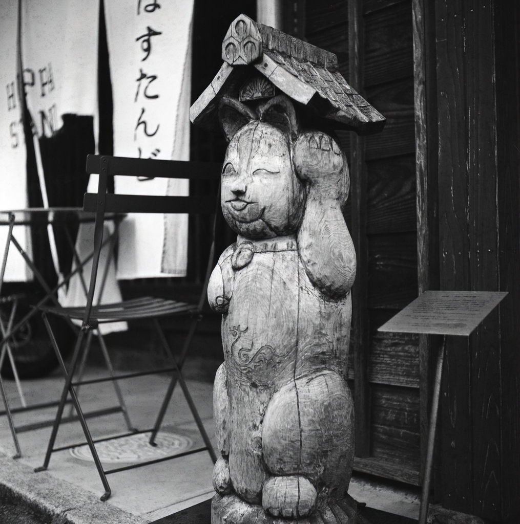 ねこまたよやよや