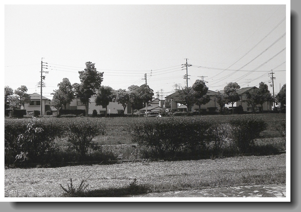 土手下にひしめく家々