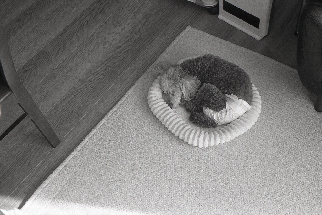 まぁ～るくなって