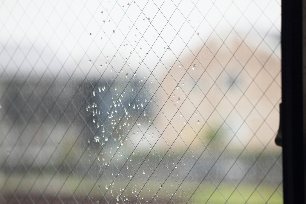 張り付いた雨粒