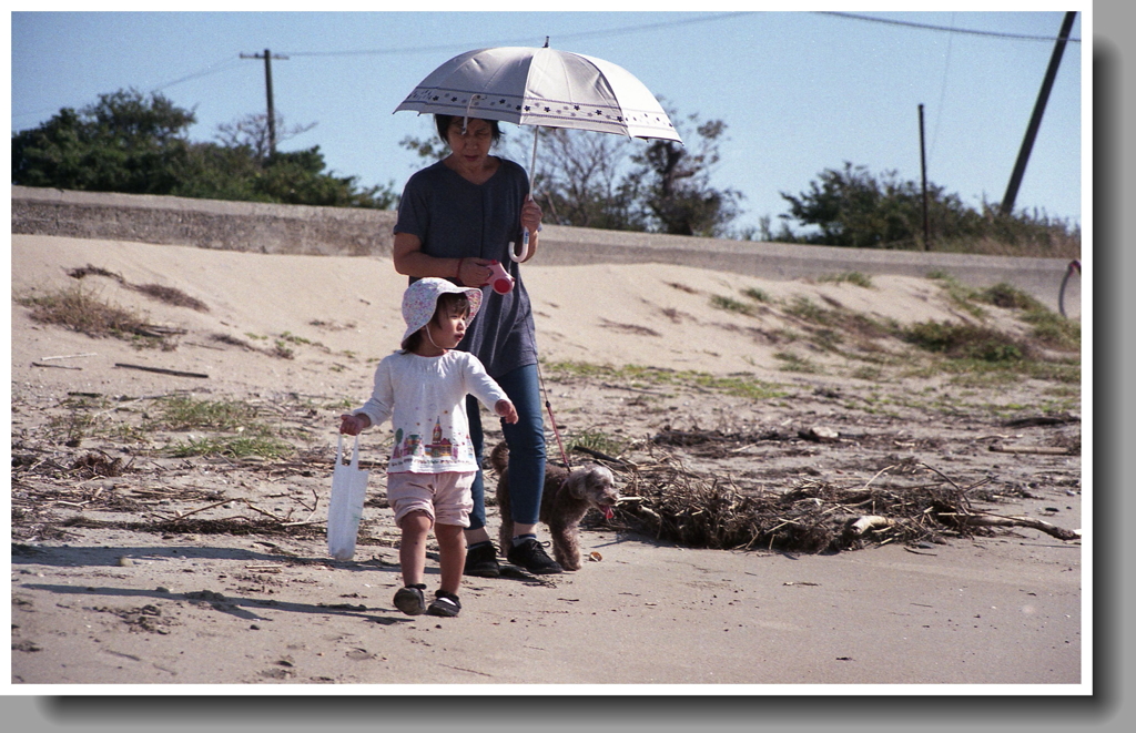ある写真を探していたら…