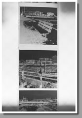 スキャン始めようかな…きのうの雪景色