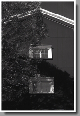 モノクロームに黒と白