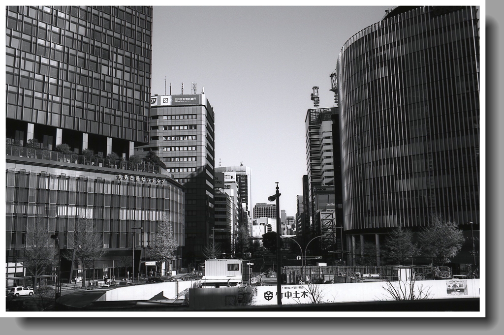 名駅前の桜通り　～名駅から栄まで歩こうか…