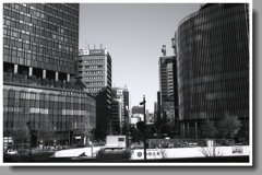 名駅前の桜通り　～名駅から栄まで歩こうか…