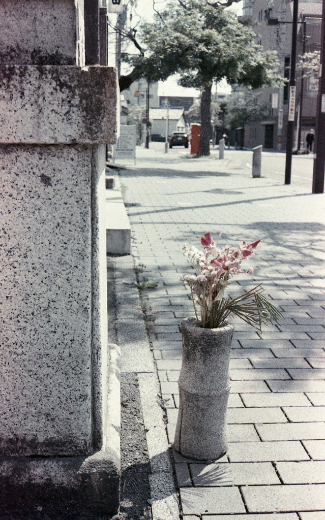 参道のお供え花