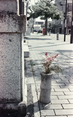 参道のお供え花