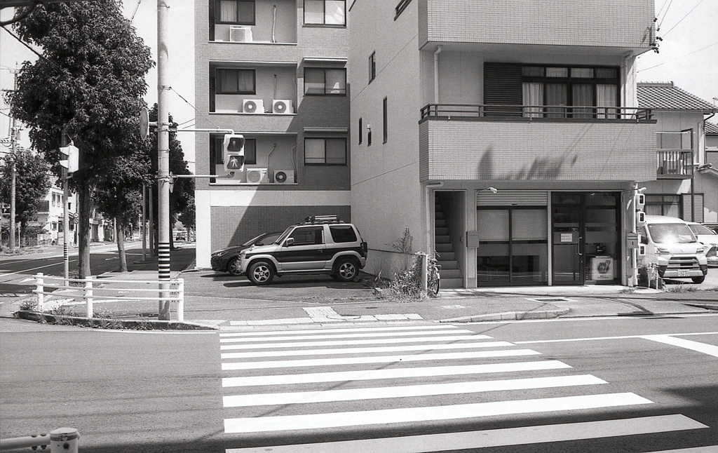 横断歩道の向こうの家だった。