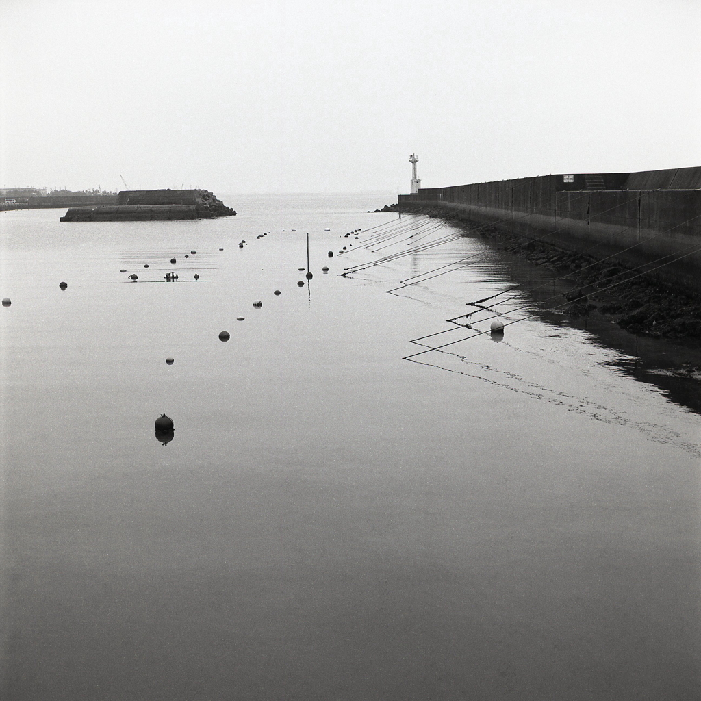 雨の漁港が撮りたいと訪れたのに…～ブローニー編