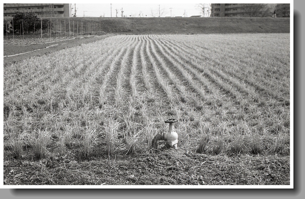 農閑期の給水口