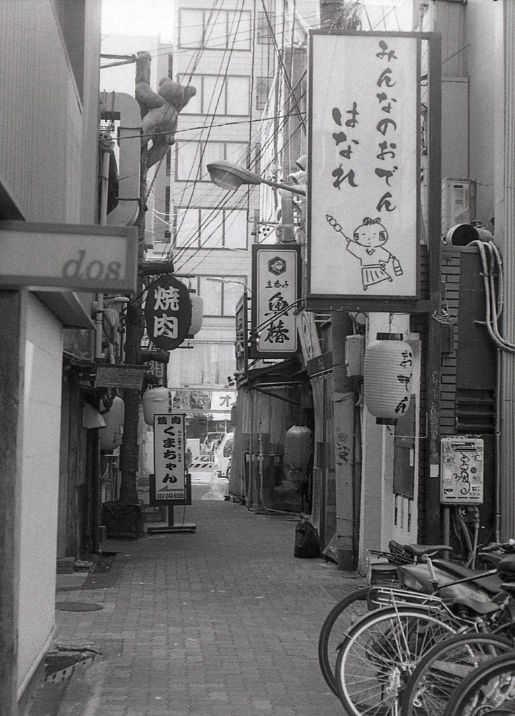 夜に歩きたい小路ですね。