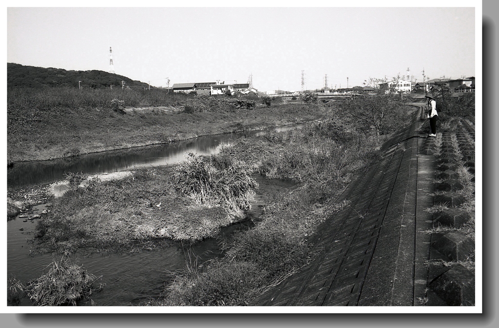 内津川上流風景