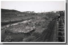 内津川上流風景